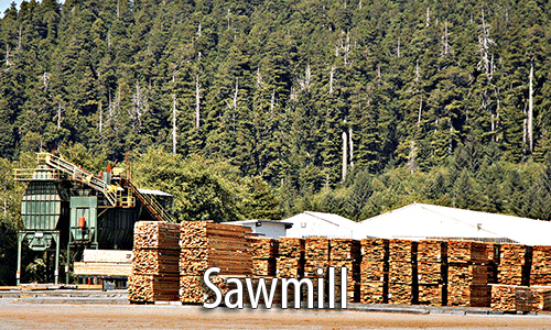 Sawmill alignment services